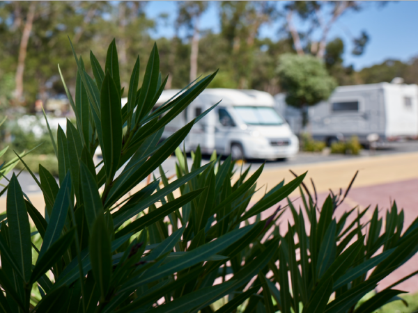 Parque de Campismo em Porto Covo
